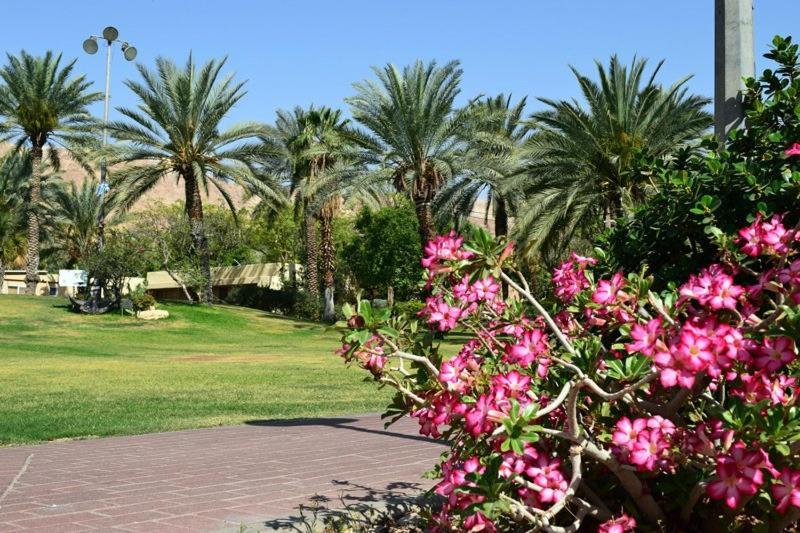 Hotel כפר נופש קלי"ה ים המלח Kalia Esterno foto