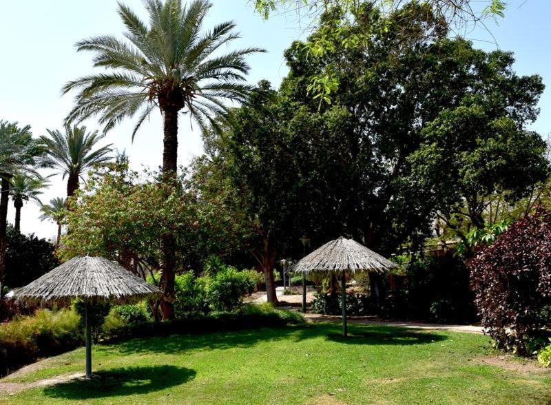 Hotel כפר נופש קלי"ה ים המלח Kalia Esterno foto