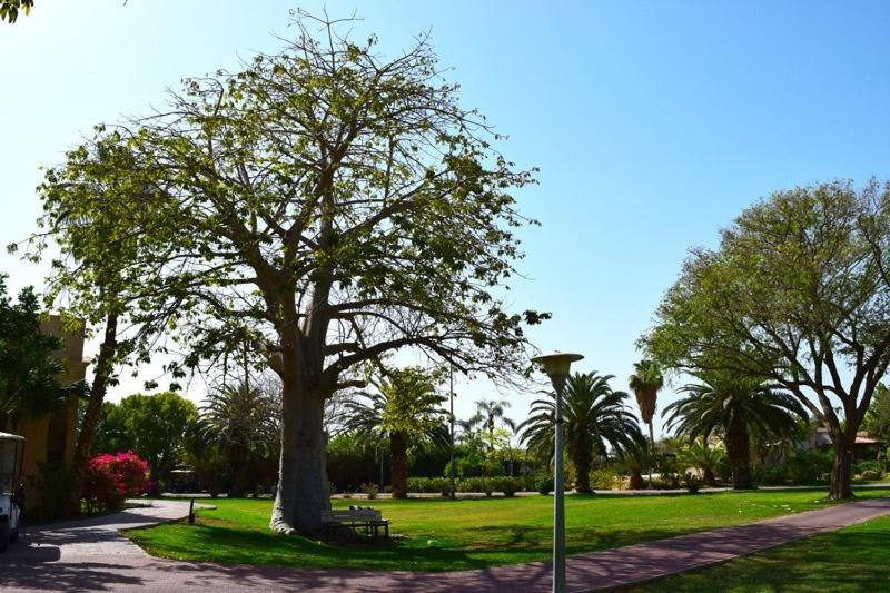 Hotel כפר נופש קלי"ה ים המלח Kalia Esterno foto