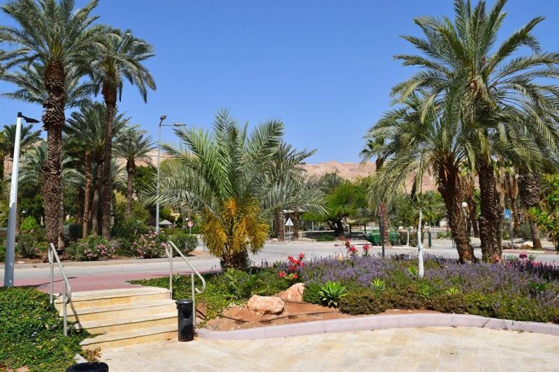 Hotel כפר נופש קלי"ה ים המלח Kalia Esterno foto