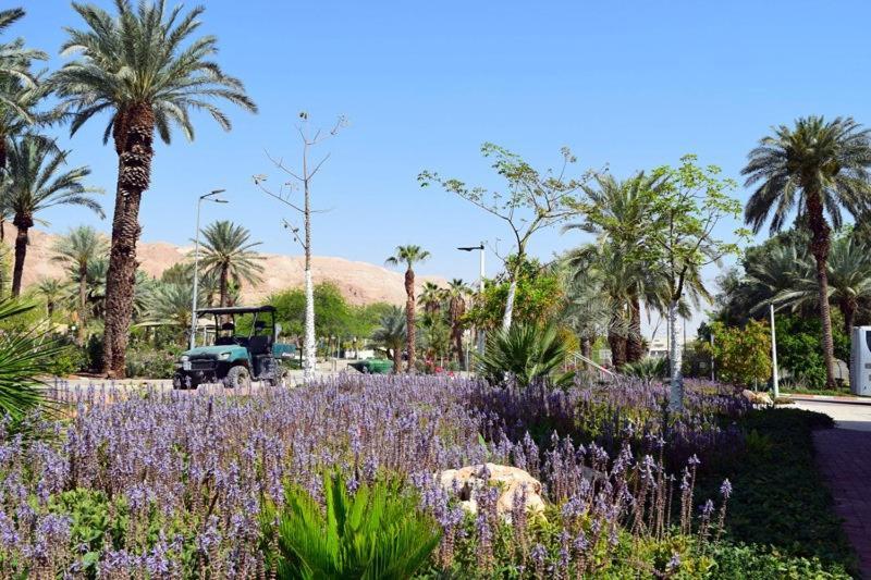 Hotel כפר נופש קלי"ה ים המלח Kalia Esterno foto